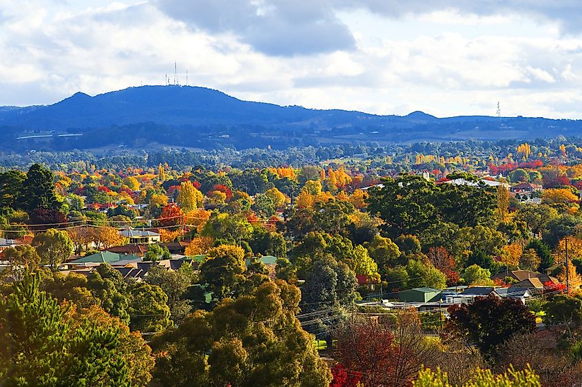 Orange, NSW. 