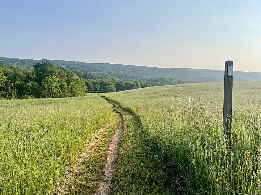 Appalachian Trail Thru Hike Mountains. Credit: B Driver/Shutterstock.com