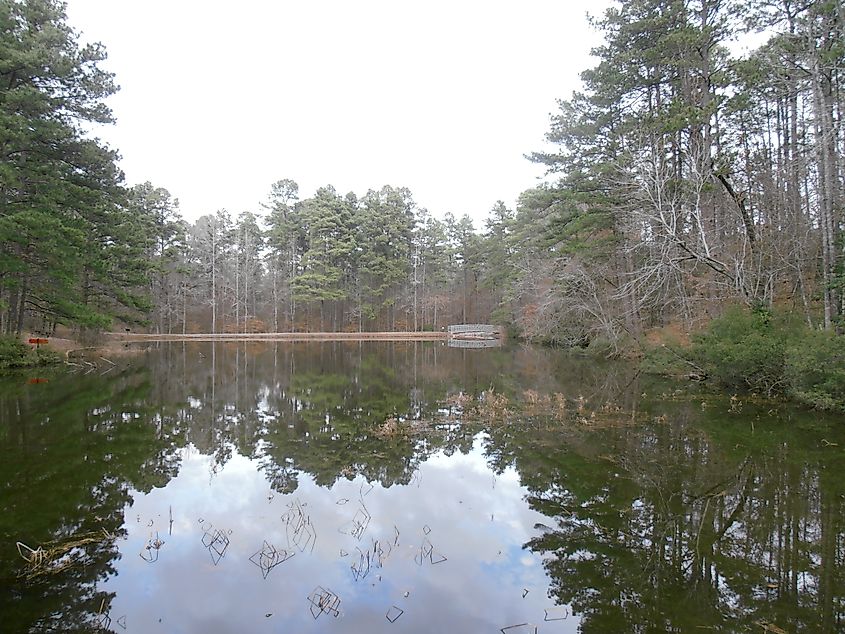 Serene environment at Logoly State Park near Magnolia, Arkansas