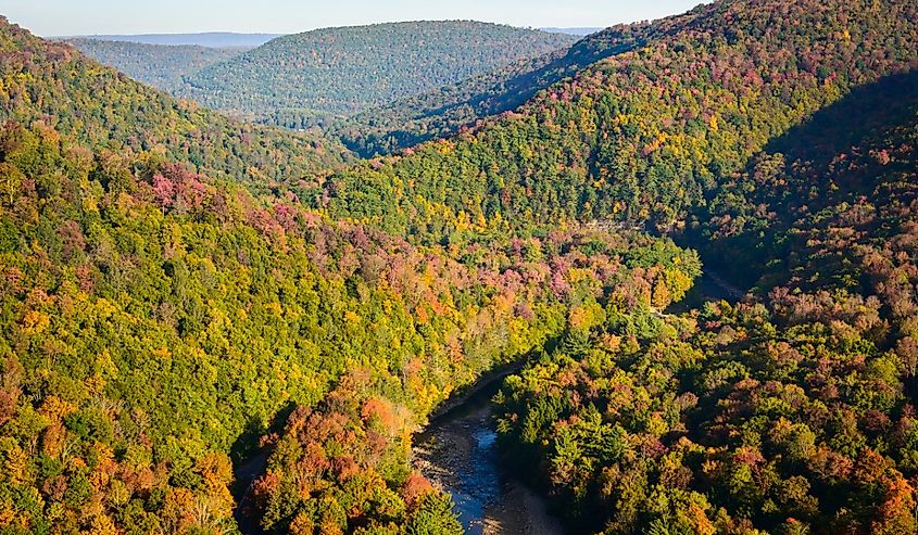 Overlooking fall foliage at Winding River, Worlds End State Park