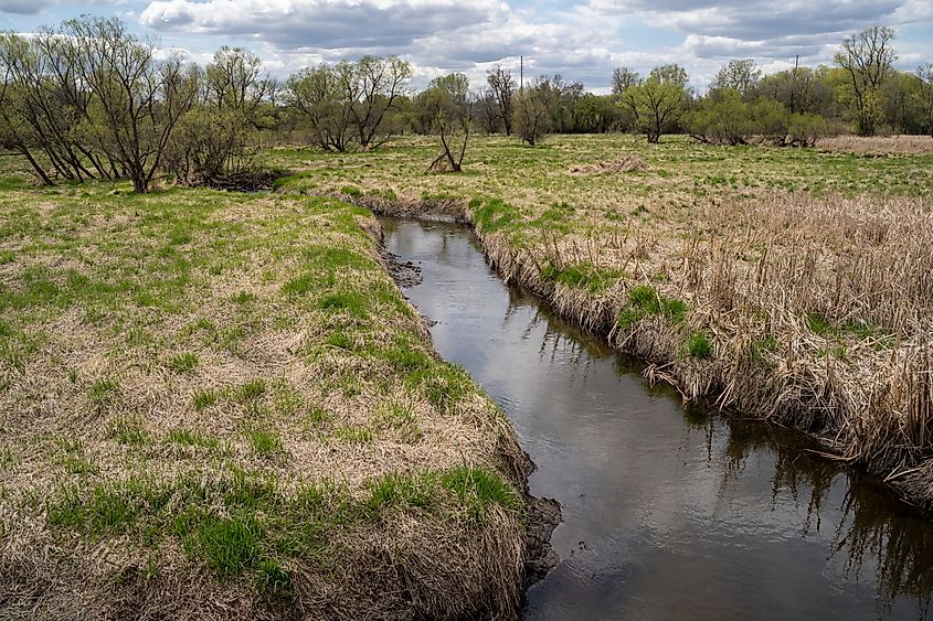 Wetlands and marsh of Elm Creek Park Reserve