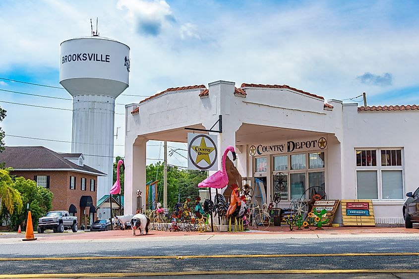 Brooksville water tower and Country Depot collectibles store