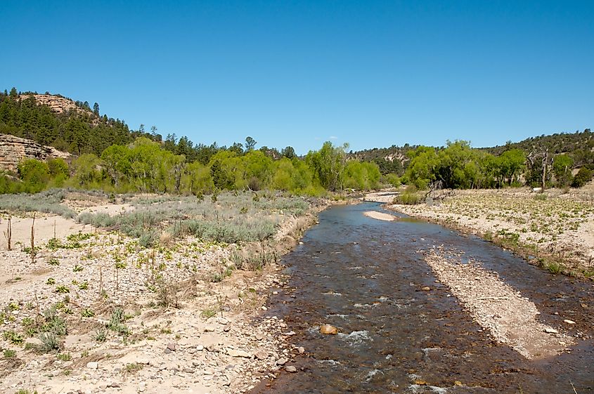 The area around Yuma, Arizona, near the dry mouth of the Gila River.