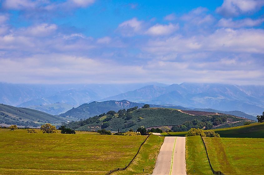 Spring in Santa Ynez California