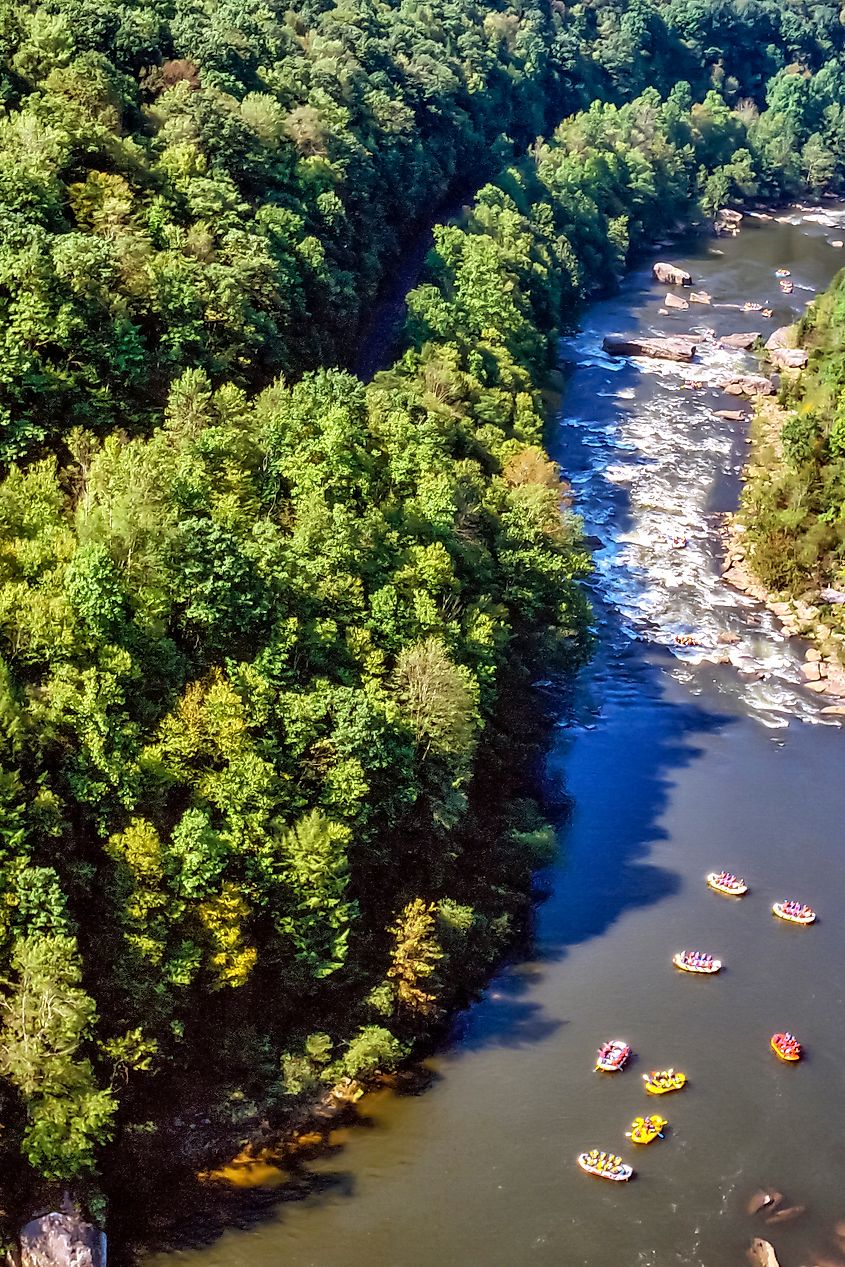 Aerial view of Gauley River as Whitewater rafts line up for Iron Ring Rapids, Nicholas County, West Virginia.