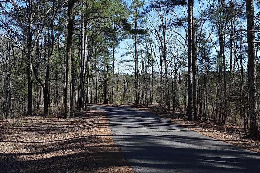 Park Road in Hugh White State Park, Mississippi.