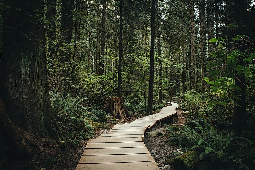 Lynn Valley, Canada