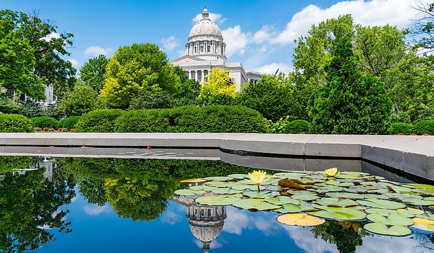 Lily pads on top of pond in Jefferson City Missouri.