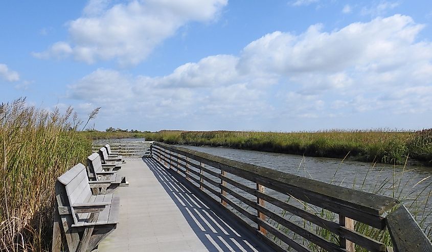 Visitors can sit along the boardwalk trail, and enjoy the natural beauty of the Bombay Hook National Wildlife Refuge, in Kent County, Smyrna, Delaware.