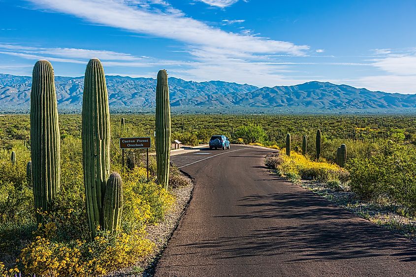 A car at a scenic overlook at Saguaro National Park, Tucson, Arizona