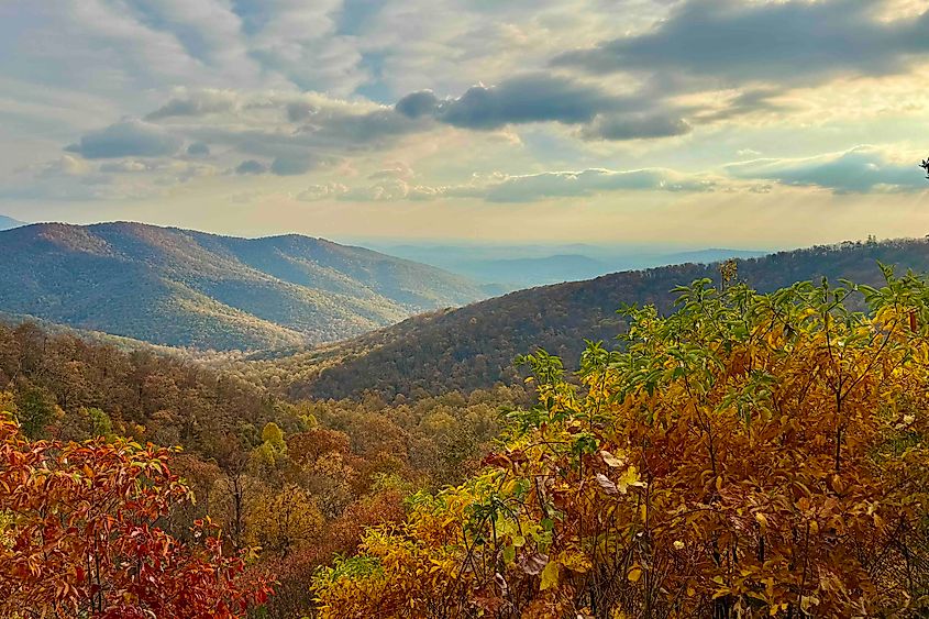 Stunning Skyline Drive in Virginia. Image Credit Bryan Dearsley 