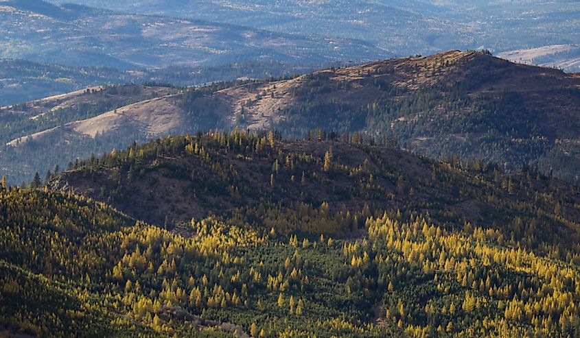 Colville National Forest view in autumn