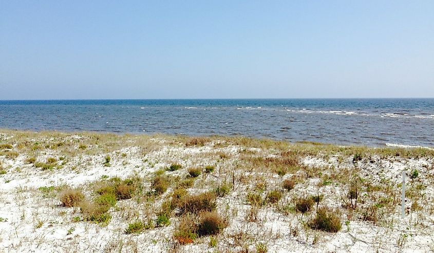 Sandy and grassy beach at Alligator Point, Florida