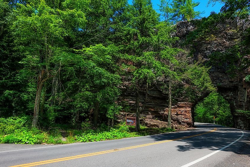 Road through the Cherokee National Forest, Tennessee.