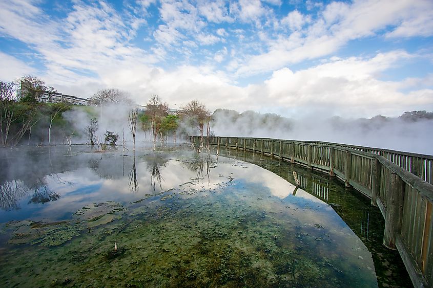 Geothermal activity in Rotorua, New Zealand.