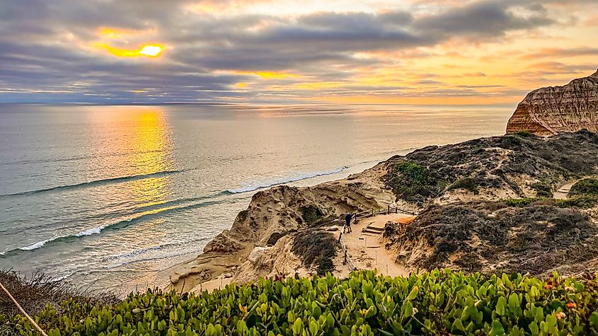 View of the Pacific Ocean From the Cliffs and Coastal Ecosystem of the Torrey Pines State Natural Reserve in San Diego, California.