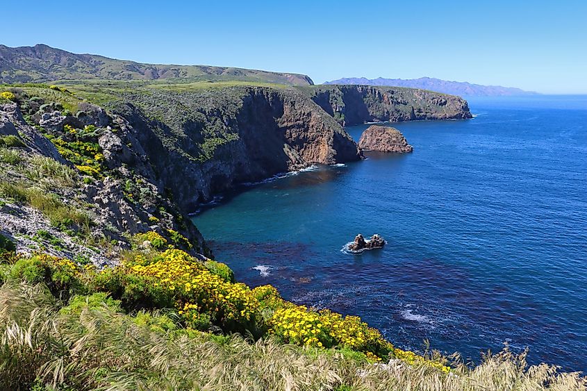 Channel Islands National Park