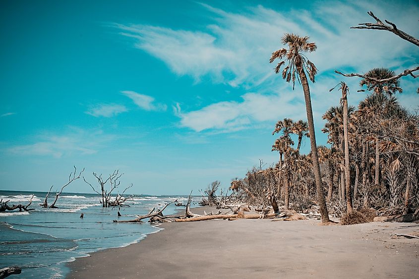 Bulls island Beach, South Carolina