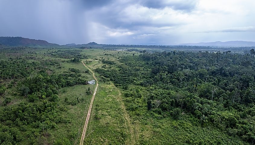 Aerial view of deforestation of Amazon rainforest to open area for cattle and soybeans in indigenous reserve land, Brazil.