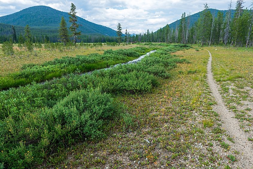 A trail in the Salmon-Challis National Forest near Langer Lake in Idaho.