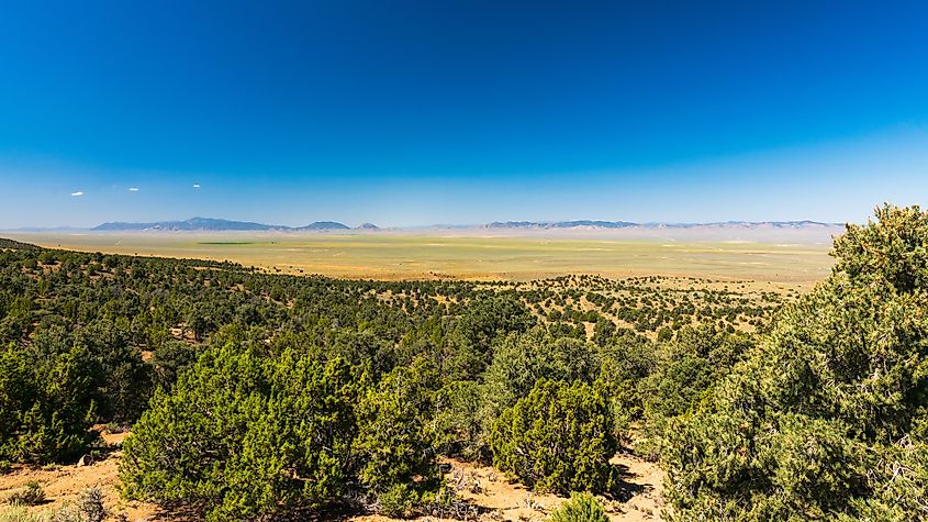 Green Valley Near Austin, Nevada.