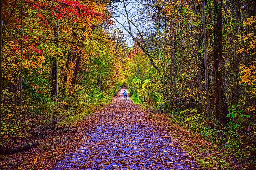 Swamp Rabbit Trail during autumn in downtown Greenville, South Carolina