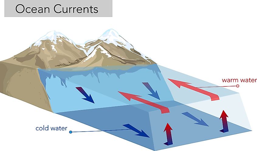 Vertical ocean currents