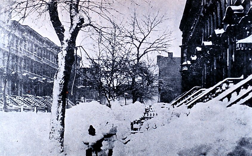 Brooklyn Blizzard 1888