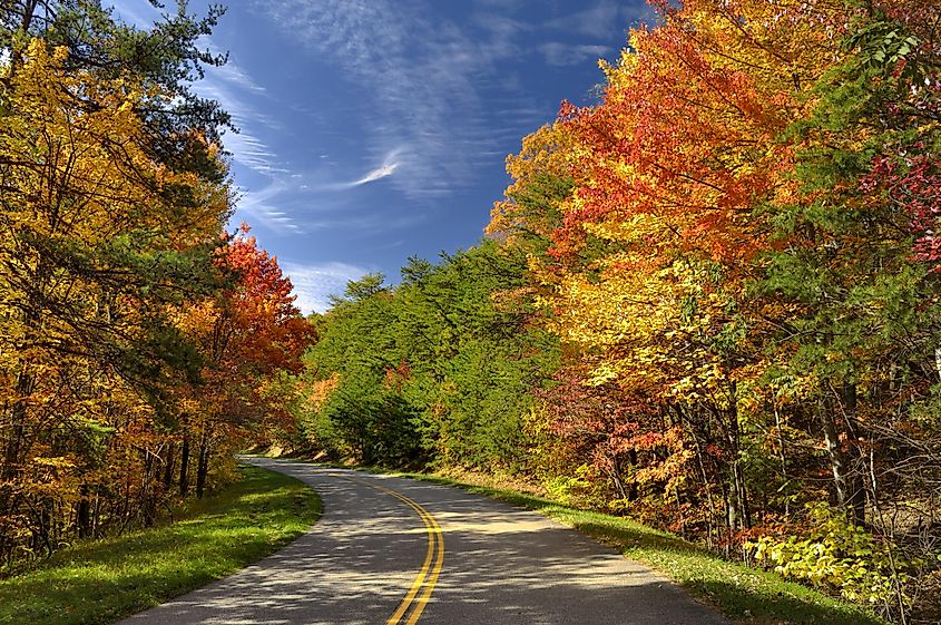 Colorful leaves on Foothills Parkway West in the Great Smoky Mountains National Park in late October.