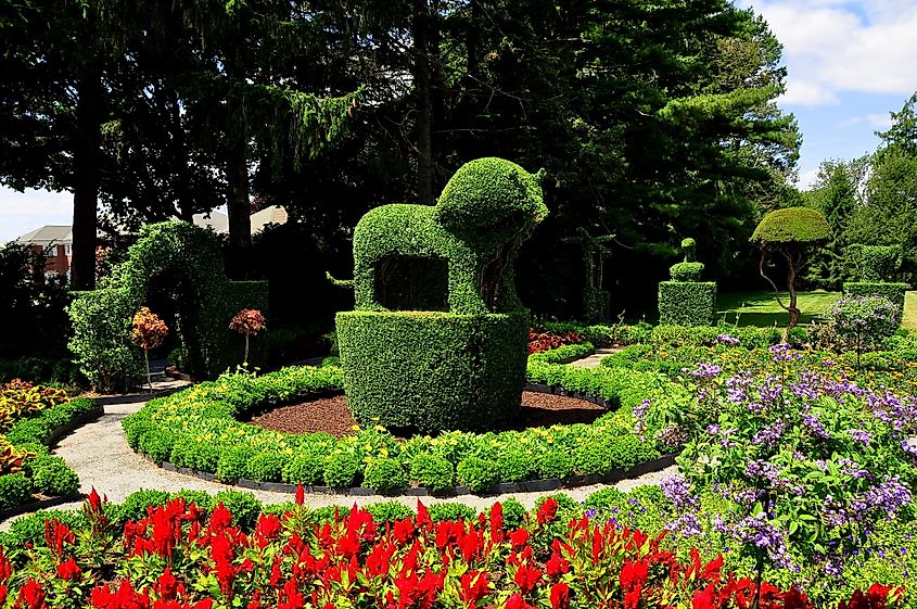 A regal topiary lion surrounded by colorful annuals at Green Animals Topiary Gardens.