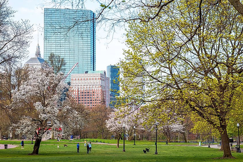 The beautiful Boston Commons area in Boston, Massachusetts