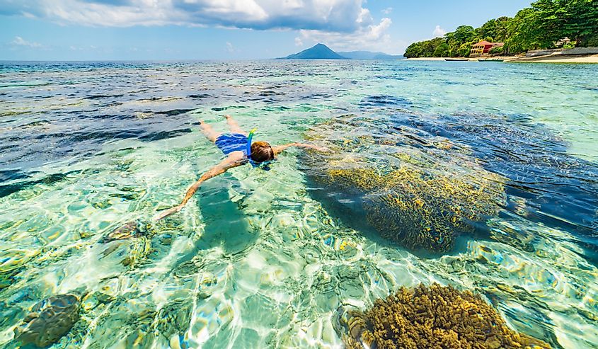 Woman snorkeling on coral reef tropical Caribbean Sea, turquoise blue water, Indonesia Banda archipelago