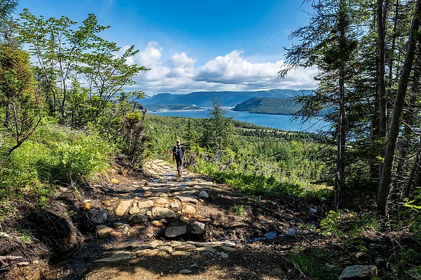 Gros Morne National Park