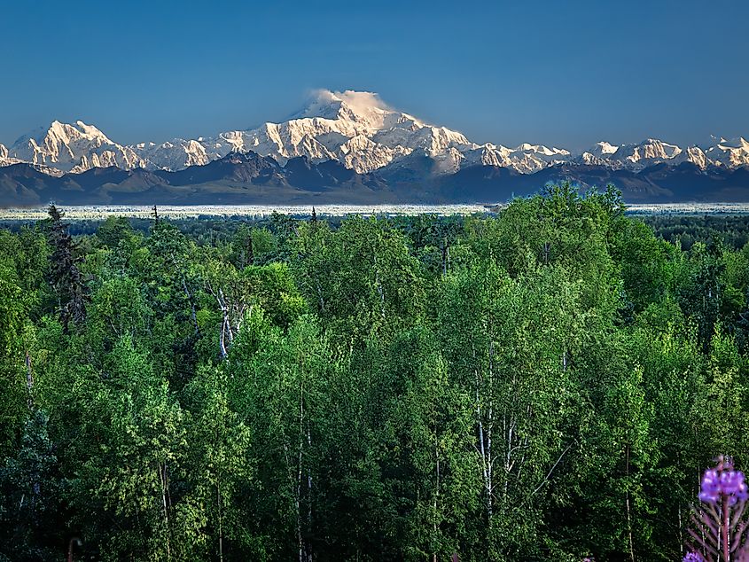 Denali -McKinley at sunrise viewed from Talkeetna area.