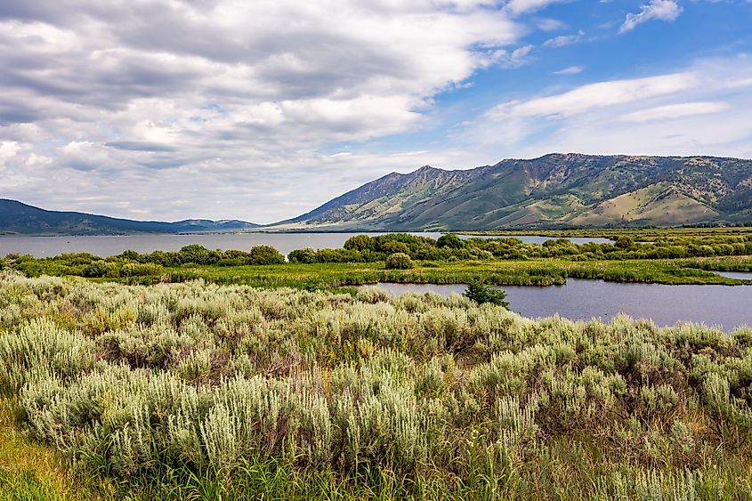 Henry's Lake picturesque landscape in Idaho