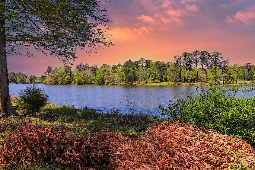 Callaway Gardens in Pine Mountain Georgia USA