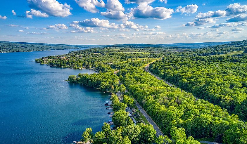 Keuka Lake surrounded by green trees during the summertime.