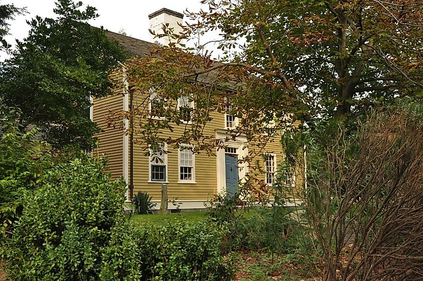 A charming two-story yellow house with white trim, partially obscured by lush greenery. The scene conveys a peaceful, rustic ambiance.