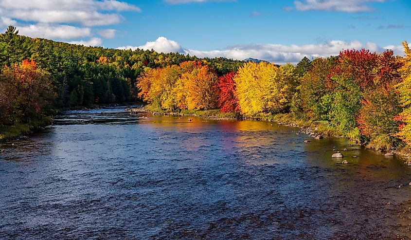 Colorful fall trees around the Saranac river in the Adirondacks in New York State