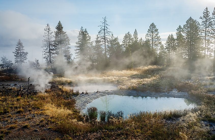 West Thumb Geyser Basin in Yellowstone National Park, featuring colorful hot springs and geothermal pools along the shoreline of Yellowstone Lake.