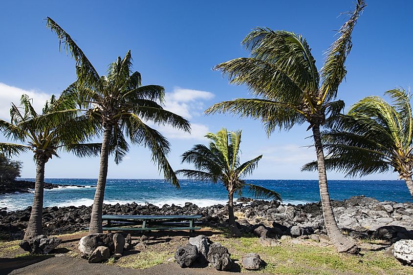 Kapa'a Beach Park Hawaii