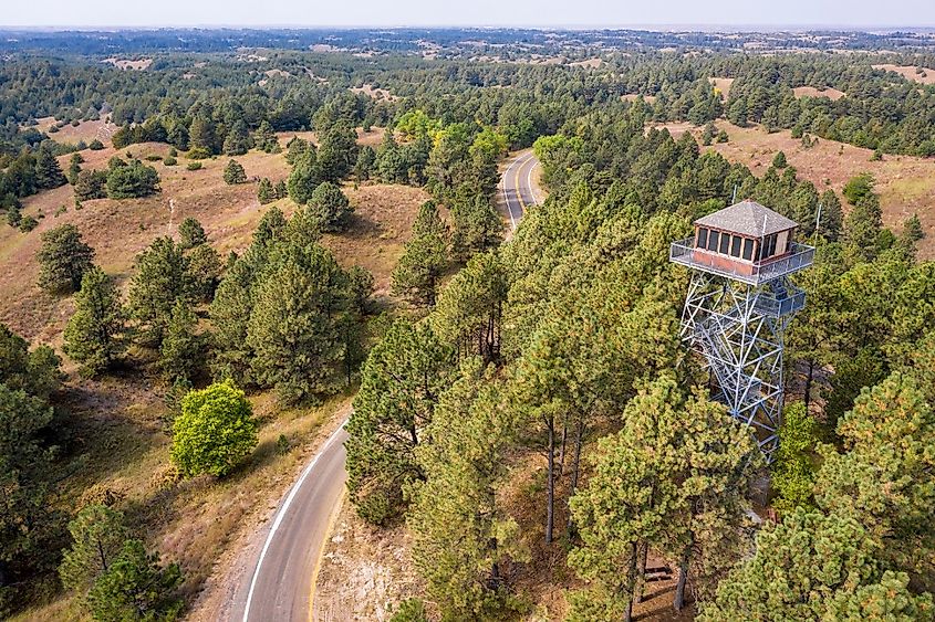 lookout tower in Nebraska National Forest, aerial view of early fall scenery