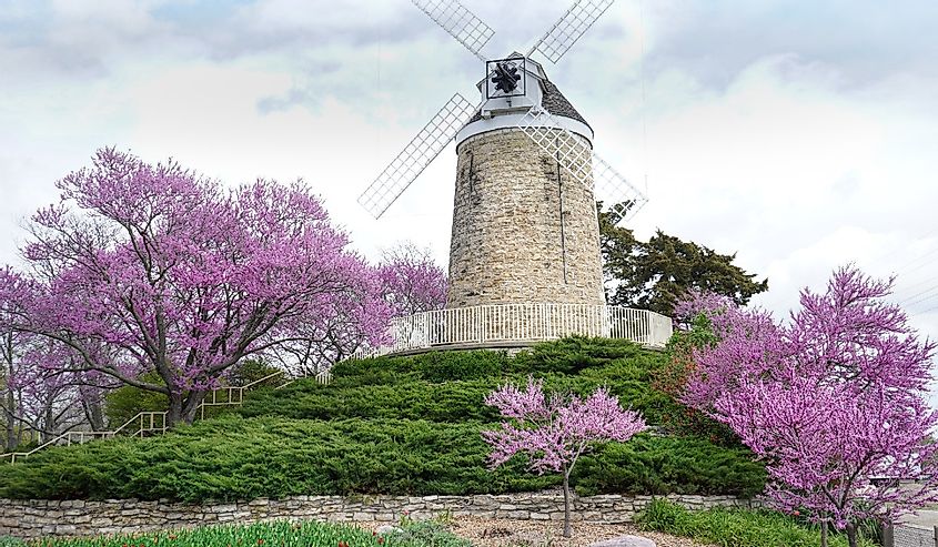 Windmill and purple blooms on trees in Wamego City Park.
