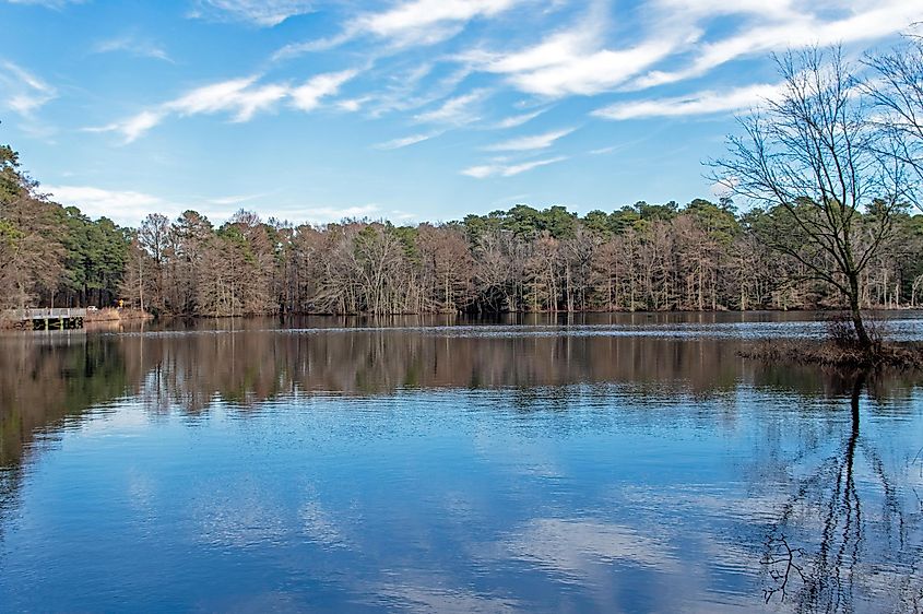 Trap Pond State Park, Delaware, lies along the Nanticoke Heritage Byway.