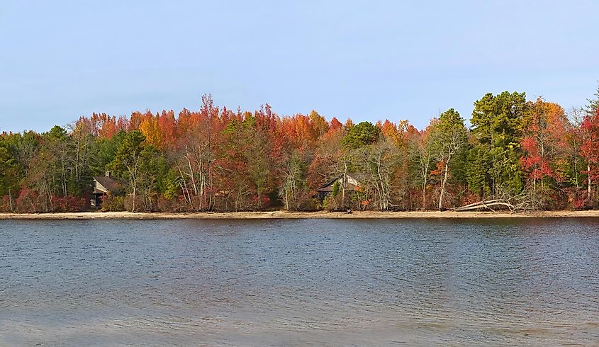 Широкая панорама осеннего пейзажа на озере Атсион в Сосновых пустошах Нью-Джерси