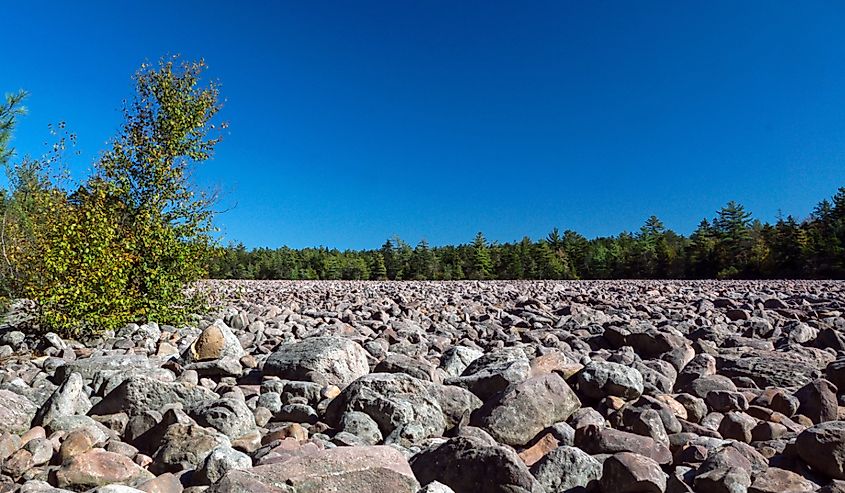 Autumn at Boulder Field a National Natural Landmark located at Hickory Run State Park in Pennsylvania