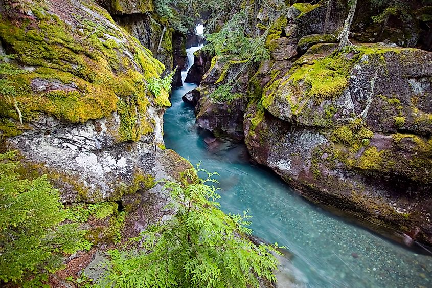 Avalanche Gorge in Glacier National Park, North America