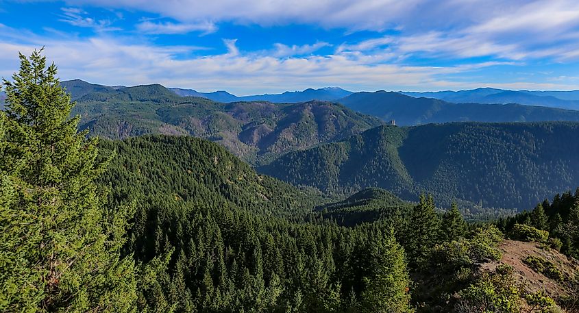 Mountains in Willamette National Forest in Oakridge, Oregon.