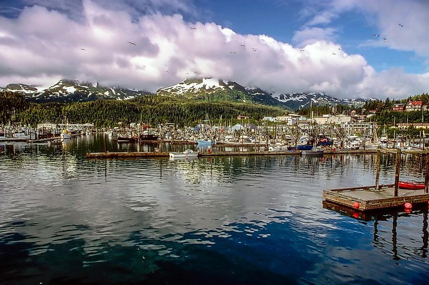 Scenic harbor with boats, calm water reflecting snow-capped mountains and lush greenery. Cloudy sky with a few birds. Peaceful and serene atmosphere.