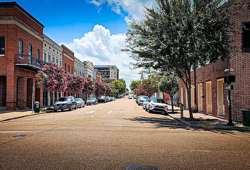 Cars parked along a city street in downtown Natchez on a summer day.